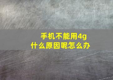 手机不能用4g什么原因呢怎么办