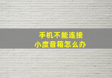 手机不能连接小度音箱怎么办