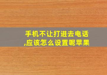 手机不让打进去电话,应该怎么设置呢苹果