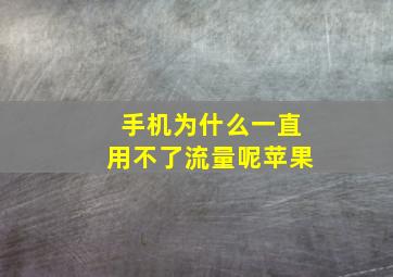 手机为什么一直用不了流量呢苹果