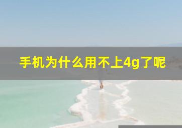 手机为什么用不上4g了呢