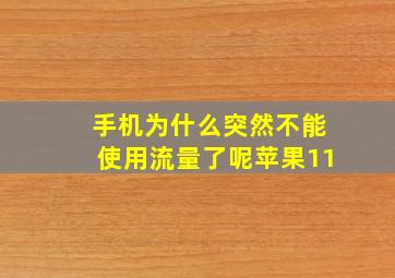 手机为什么突然不能使用流量了呢苹果11