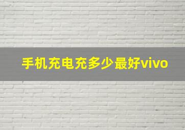 手机充电充多少最好vivo