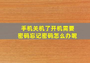 手机关机了开机需要密码忘记密码怎么办呢