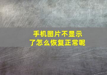 手机图片不显示了怎么恢复正常呢