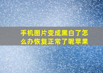 手机图片变成黑白了怎么办恢复正常了呢苹果