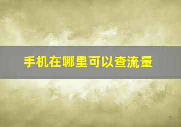 手机在哪里可以查流量