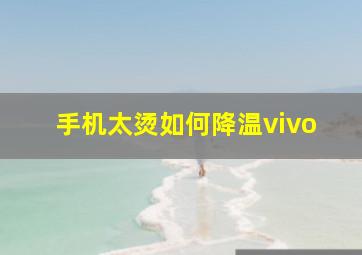 手机太烫如何降温vivo