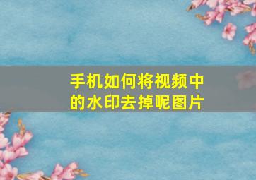 手机如何将视频中的水印去掉呢图片