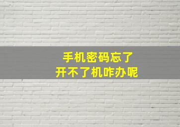 手机密码忘了开不了机咋办呢