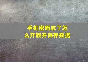 手机密码忘了怎么开锁并保存数据