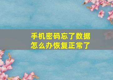 手机密码忘了数据怎么办恢复正常了