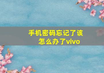 手机密码忘记了该怎么办了vivo