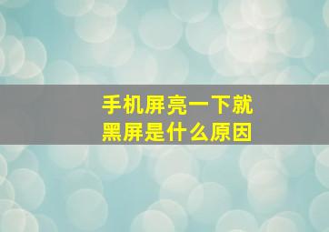 手机屏亮一下就黑屏是什么原因