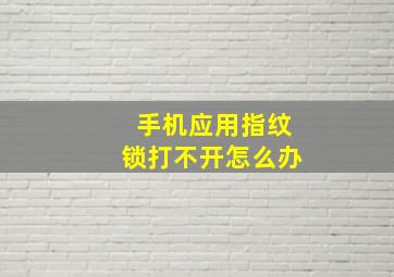 手机应用指纹锁打不开怎么办