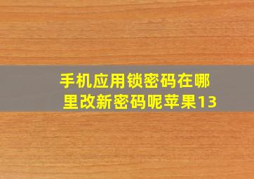 手机应用锁密码在哪里改新密码呢苹果13