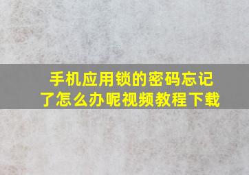 手机应用锁的密码忘记了怎么办呢视频教程下载