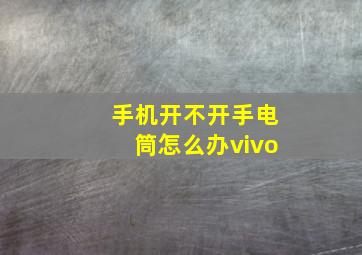 手机开不开手电筒怎么办vivo