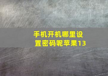 手机开机哪里设置密码呢苹果13