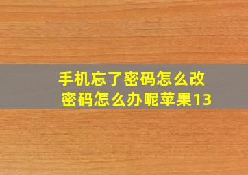 手机忘了密码怎么改密码怎么办呢苹果13