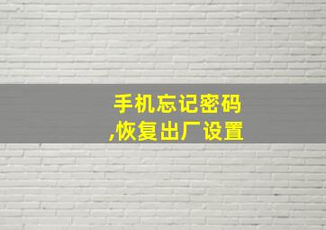 手机忘记密码,恢复出厂设置