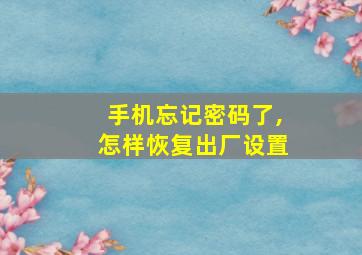 手机忘记密码了,怎样恢复出厂设置