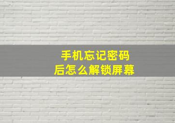 手机忘记密码后怎么解锁屏幕