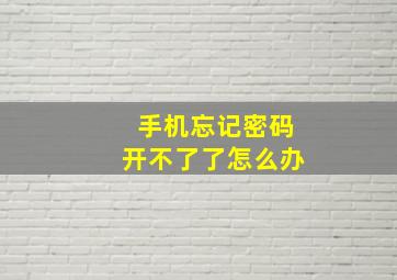 手机忘记密码开不了了怎么办