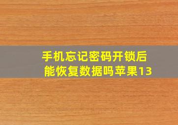 手机忘记密码开锁后能恢复数据吗苹果13