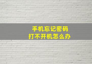 手机忘记密码打不开机怎么办