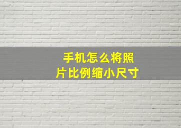 手机怎么将照片比例缩小尺寸