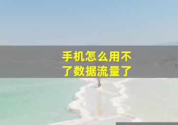 手机怎么用不了数据流量了