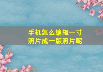 手机怎么编辑一寸照片成一版照片呢