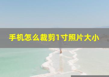 手机怎么裁剪1寸照片大小