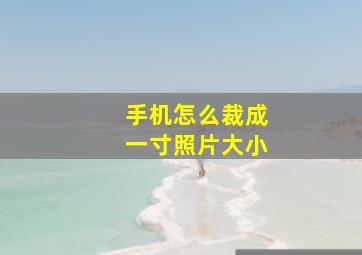 手机怎么裁成一寸照片大小