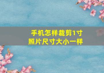 手机怎样裁剪1寸照片尺寸大小一样