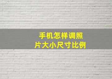 手机怎样调照片大小尺寸比例