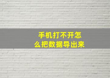 手机打不开怎么把数据导出来