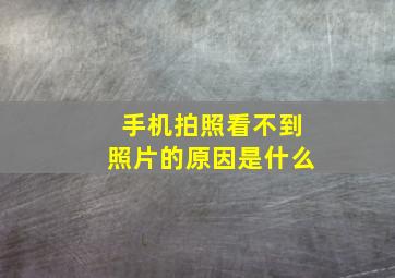 手机拍照看不到照片的原因是什么