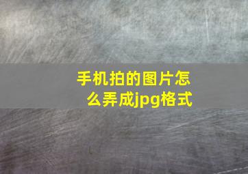 手机拍的图片怎么弄成jpg格式