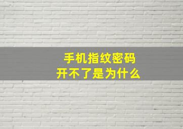 手机指纹密码开不了是为什么