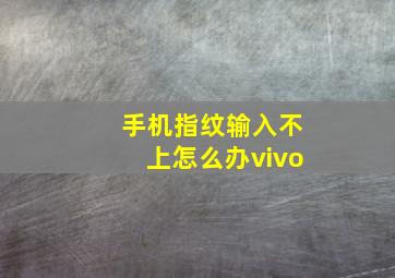 手机指纹输入不上怎么办vivo