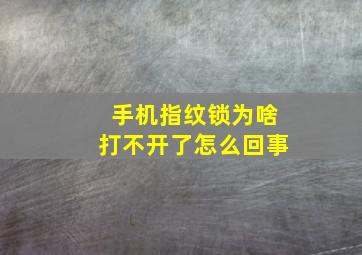 手机指纹锁为啥打不开了怎么回事