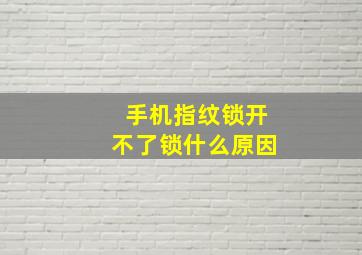 手机指纹锁开不了锁什么原因