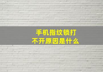 手机指纹锁打不开原因是什么