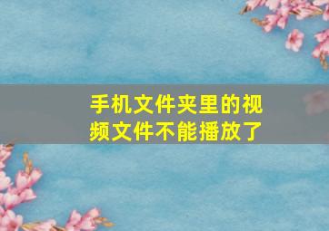 手机文件夹里的视频文件不能播放了