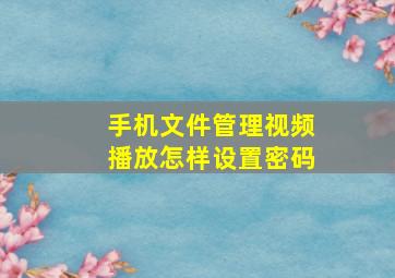 手机文件管理视频播放怎样设置密码