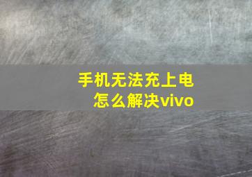 手机无法充上电怎么解决vivo