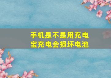 手机是不是用充电宝充电会损坏电池