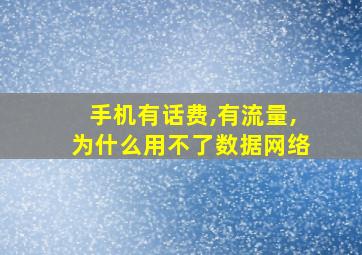 手机有话费,有流量,为什么用不了数据网络